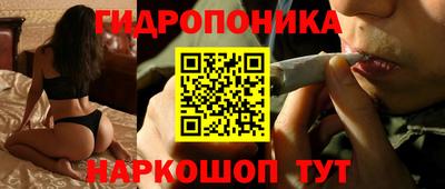 скорость Заволжье