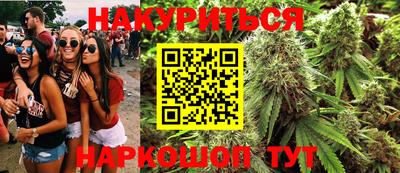 PSILOCYBIN Заводоуковск
