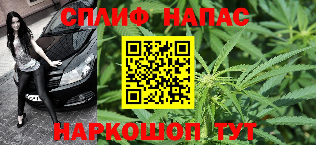 Марихуана планчик Курчатов